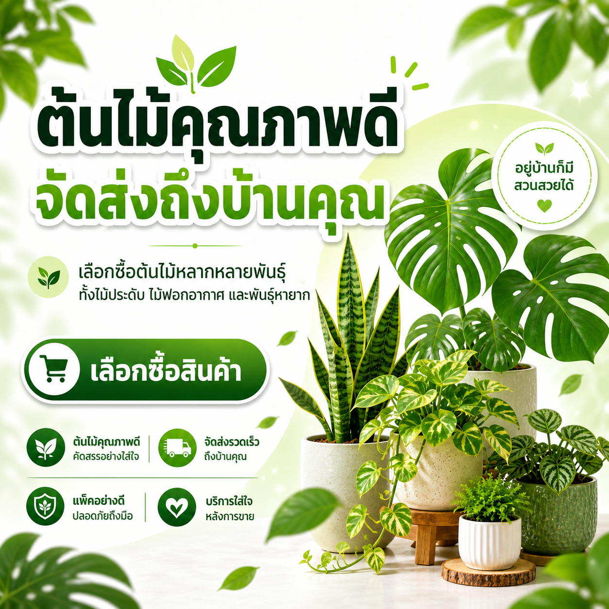 เว็บขายต้นไม้